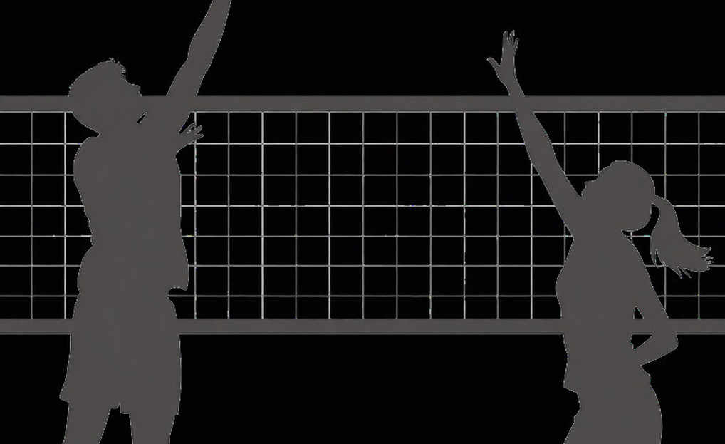 Vietnamese Volleyball's Data Gap: A Transfer Window Built on Faith Vietnamese Volleyball's Data Gap: A Transfer Window Built on Faith