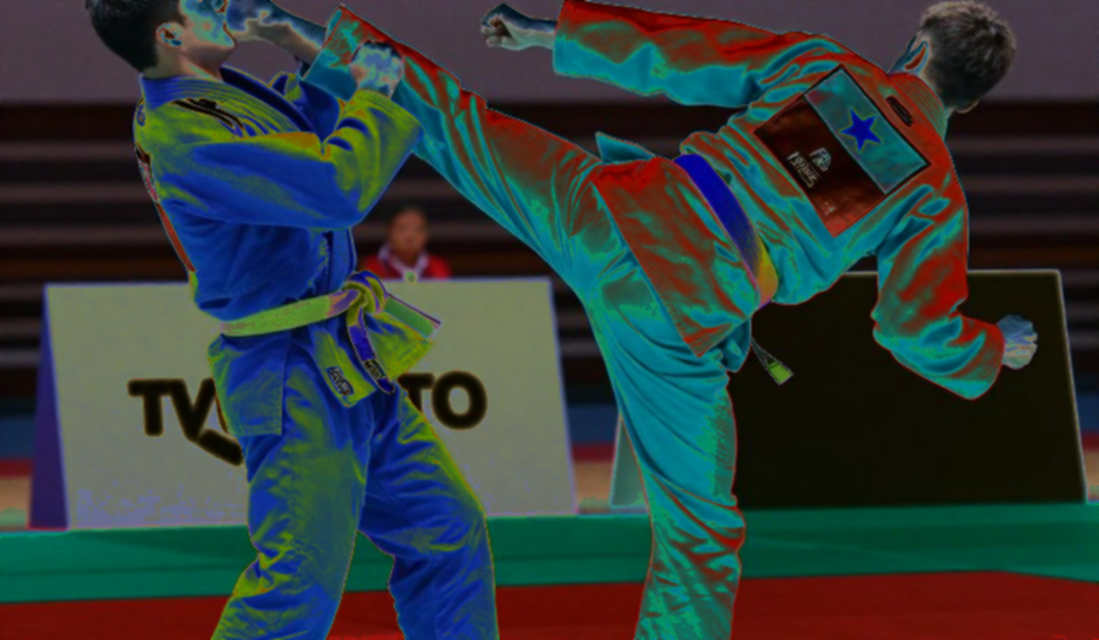 The Data-Dark Arena: Professional Martial Arts Is Betting on Belief The Data-Dark Arena: Professional Martial Arts Is Betting on Belief
