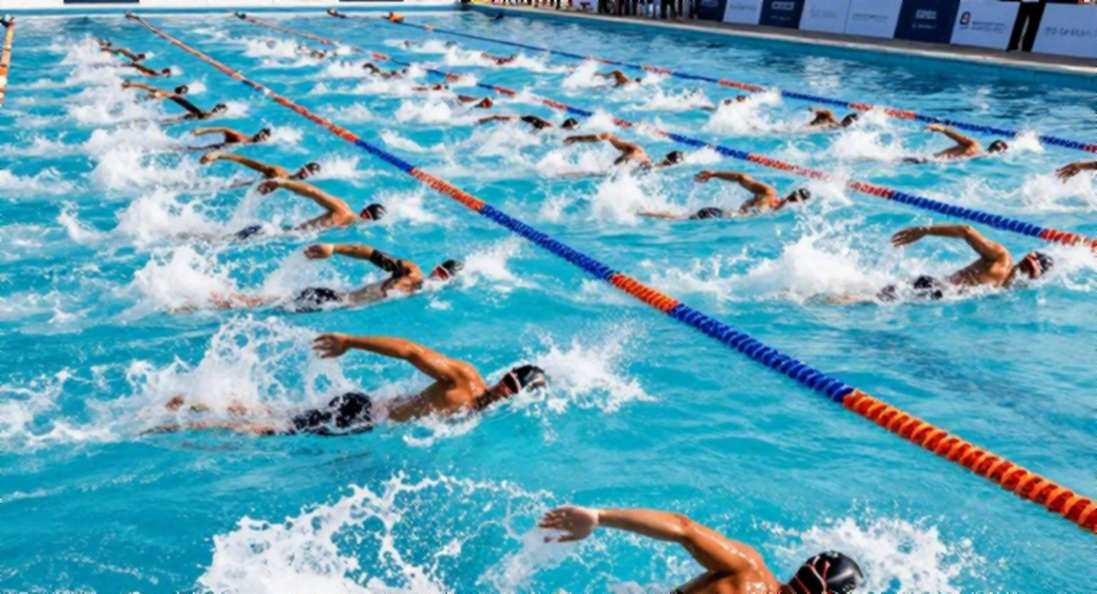 V-League 2026: When Fitness Data Begins Rewriting the Tactical Story V-League 2026: When Fitness Data Begins Rewriting the Tactical Story